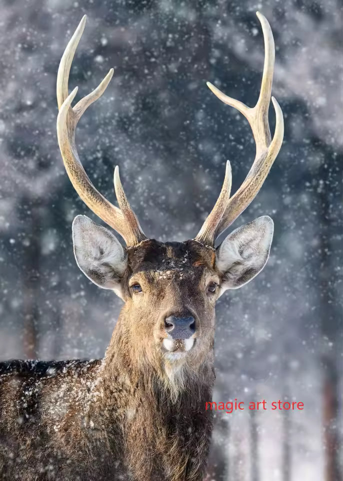 Forest Landscape Nature Art