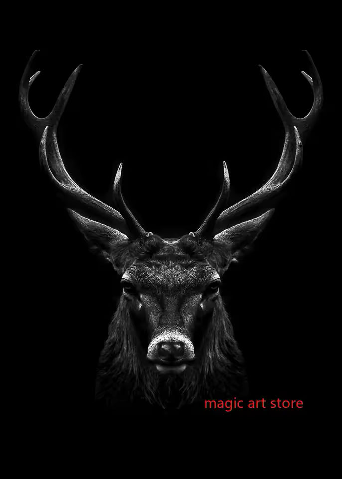 Forest Landscape Nature Art