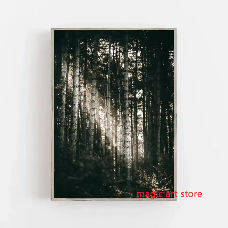 Forest Landscape Nature Art