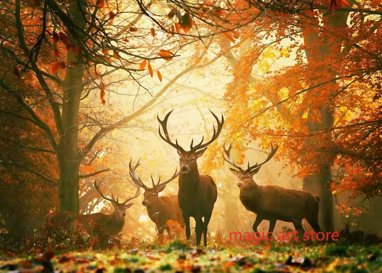 Forest Landscape Nature Art