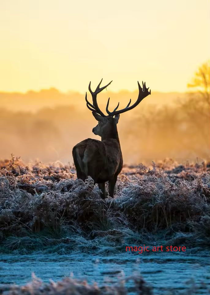 Forest Landscape Nature Art