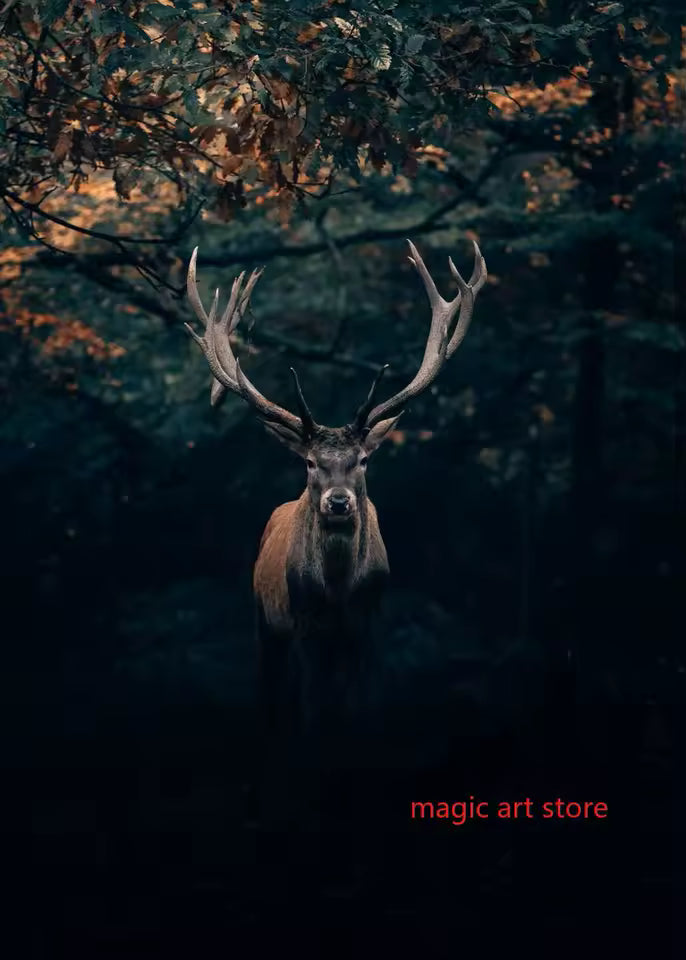 Forest Landscape Nature Art