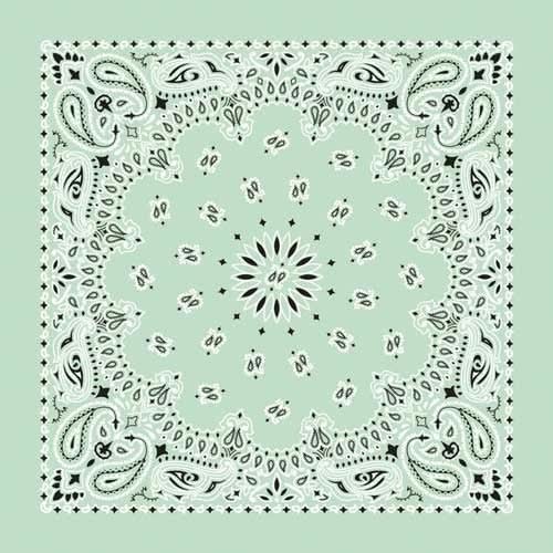 NT4414 Bandana Paisley Mint