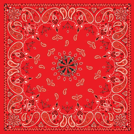 B3- Bandanna Red Paisley